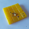 Bee Lemon Peaky Pied